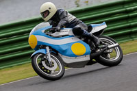 Vintage-motorcycle-club;eventdigitalimages;mallory-park;mallory-park-trackday-photographs;no-limits-trackdays;peter-wileman-photography;trackday-digital-images;trackday-photos;vmcc-festival-1000-bikes-photographs